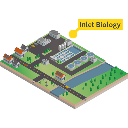 Wastewater Treatment Plant Inlet Biology